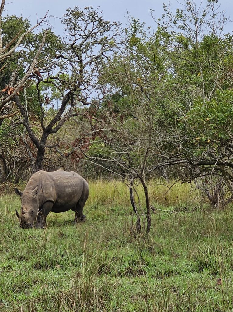 7 days safari in Uganda