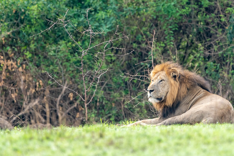 How to Get to Queen Elizabeth National Park.