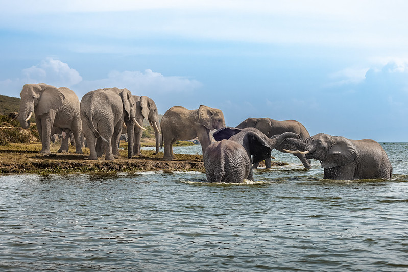 Queen Elizabeth National Park.