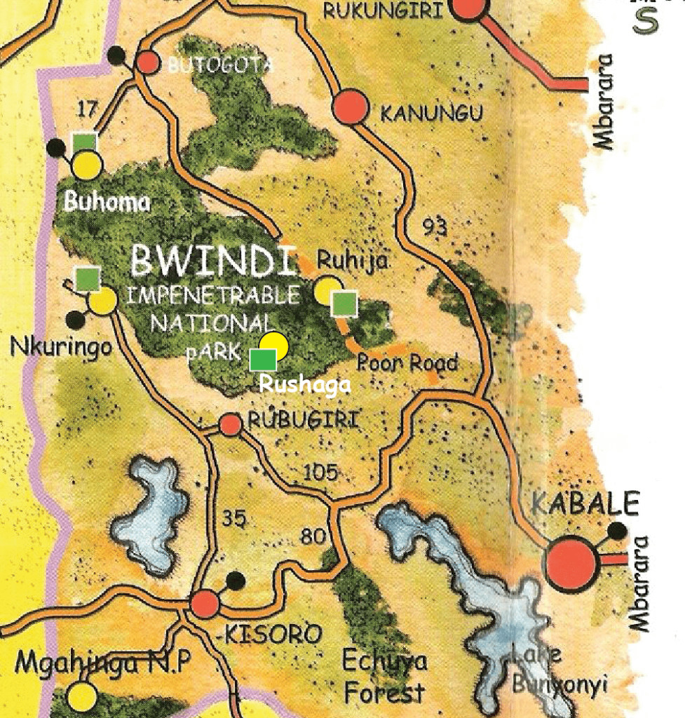 Gorilla trekking Sectors in Bwindi