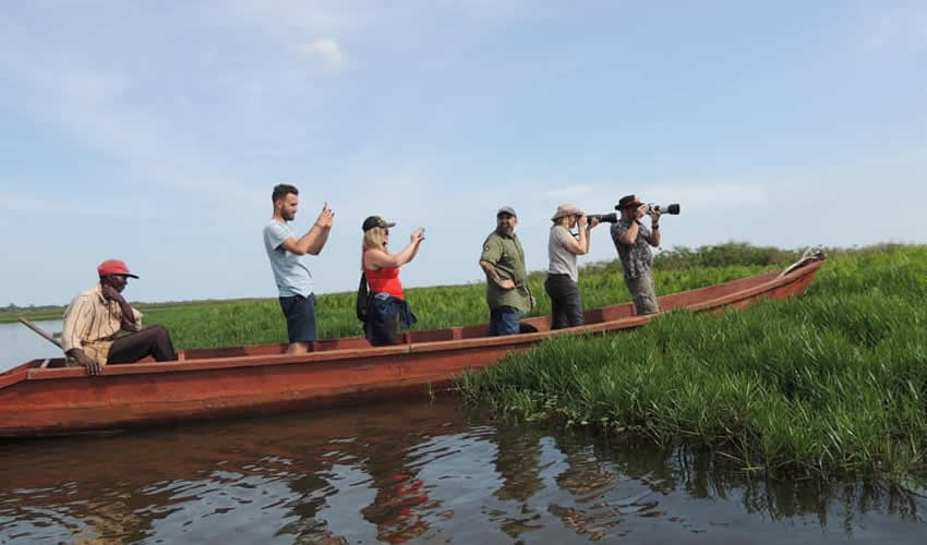 Mabamba Wetland